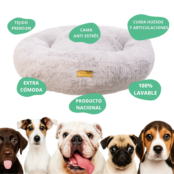 CAMINITA CONFY - COMODIDAD TOTAL PARA TU PELUDITO 🐾